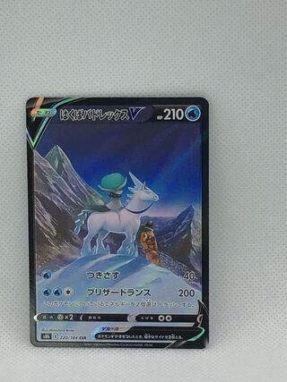 Hakuba Budrex V CSR 220/184