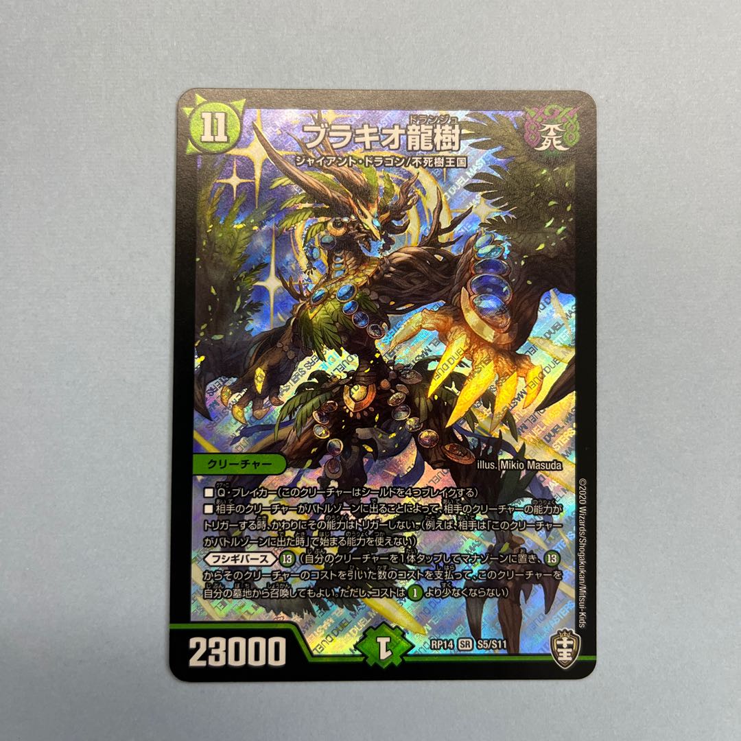 Ryuki Brachio SR S5/S11