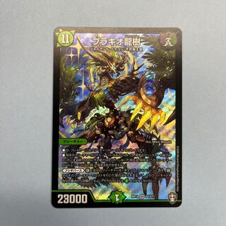 ブラキオ龍樹 SR S5/S11