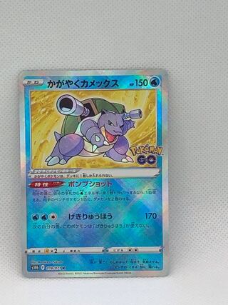 かがやくカメックス