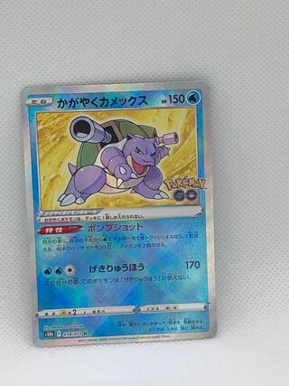 かがやくカメックス