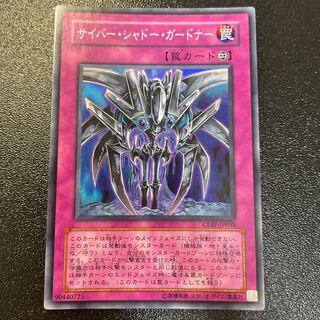 Cyber Shadow Gardna Super Rare JP058