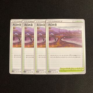 d98 large Swamp s10D set of 4 Pokémon Treasurer