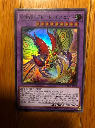 Integrity attitude grate insect super 1 piece