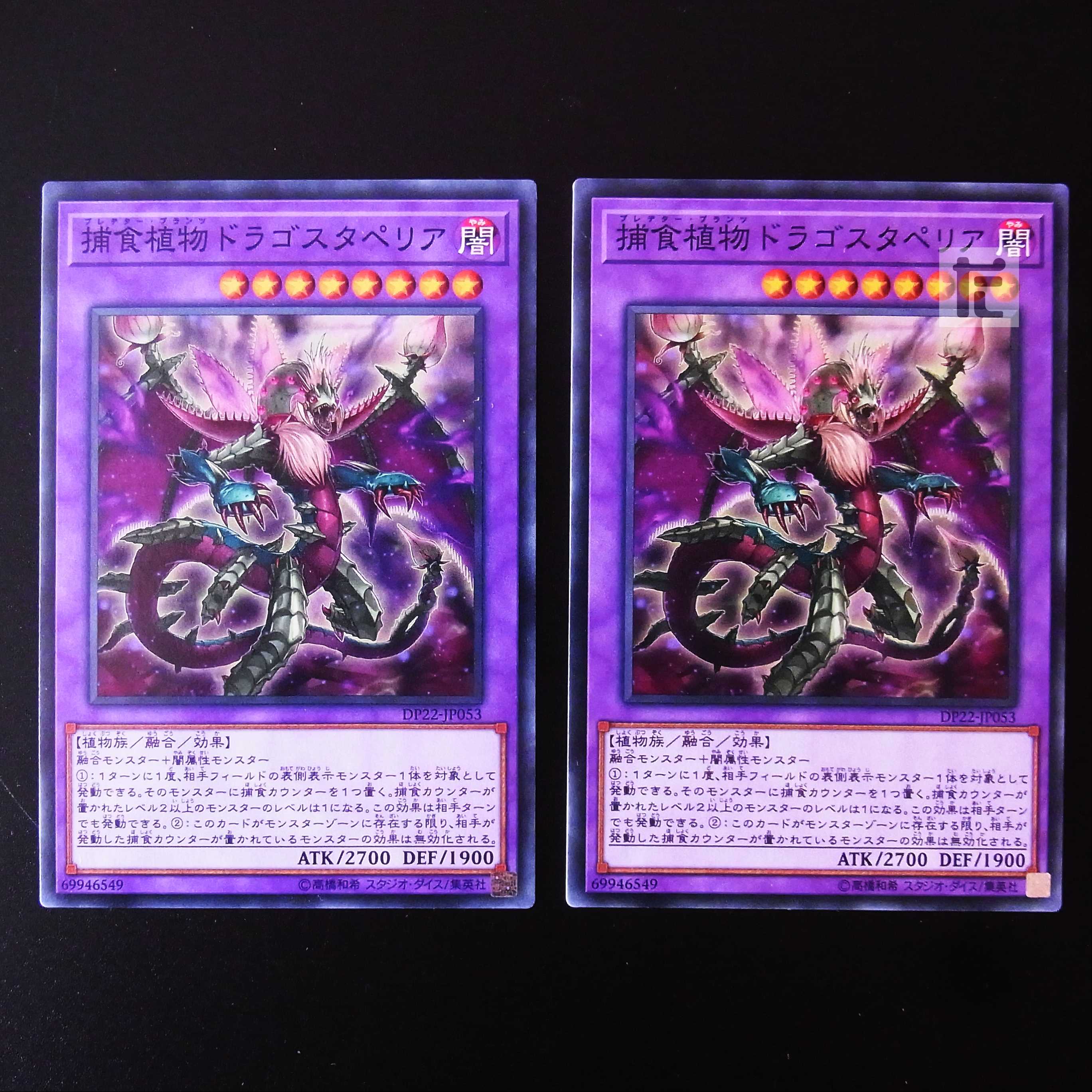 Predaplant Dragostapelia normal, set of 2 / Management:MY0530