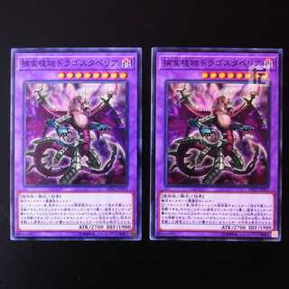 Predaplant Dragostapelia normal, set of 2 / Management:MY0530