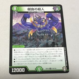 Psychic person of arboreal food R 19/110