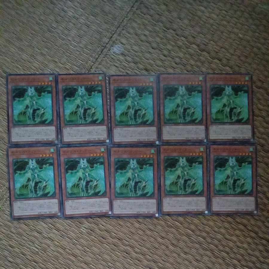 ネメシス・コリドー ノーマル JP012 【風属性、雷族、グッドスタッフ】