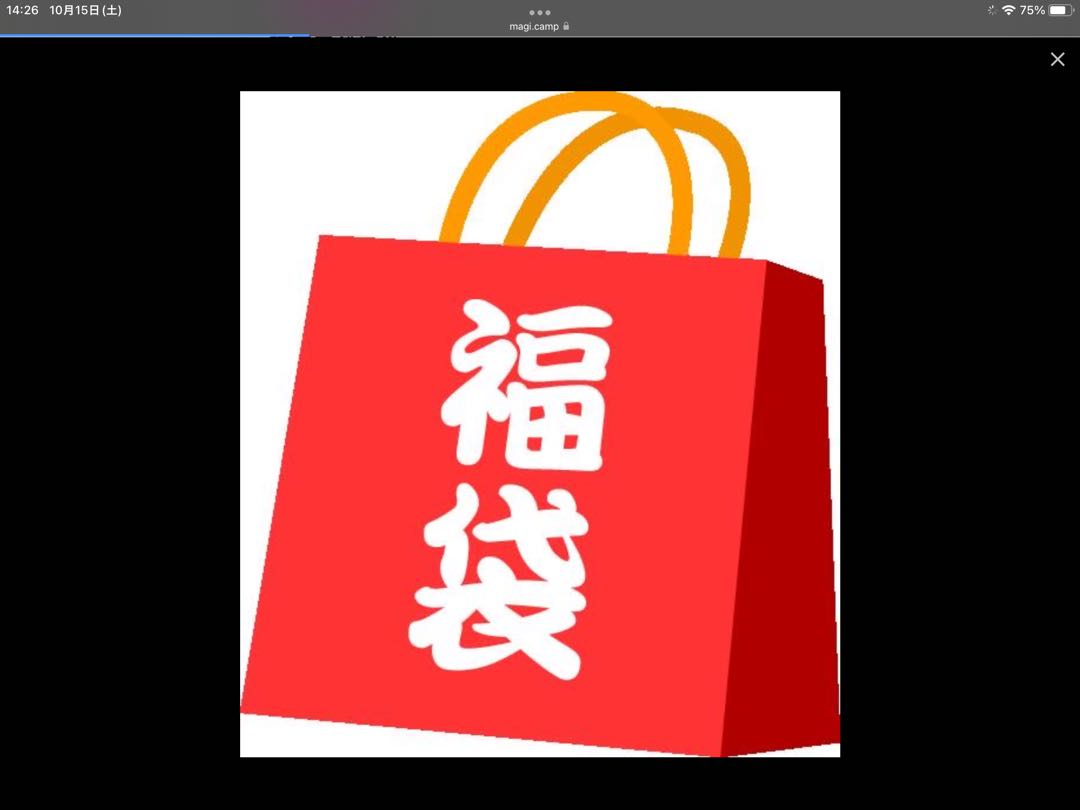 mystery package (with a variety of articles possibly worth more than the purchase price)