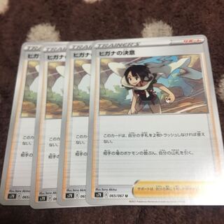 Zinnia's Resolution U 065/067