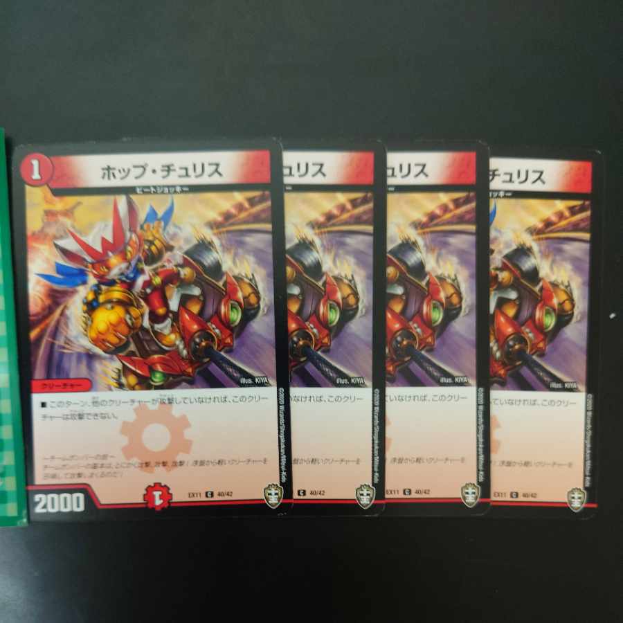 Hop Chu Squirrel C 40/42