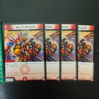 Hop Chu Squirrel C 40/42