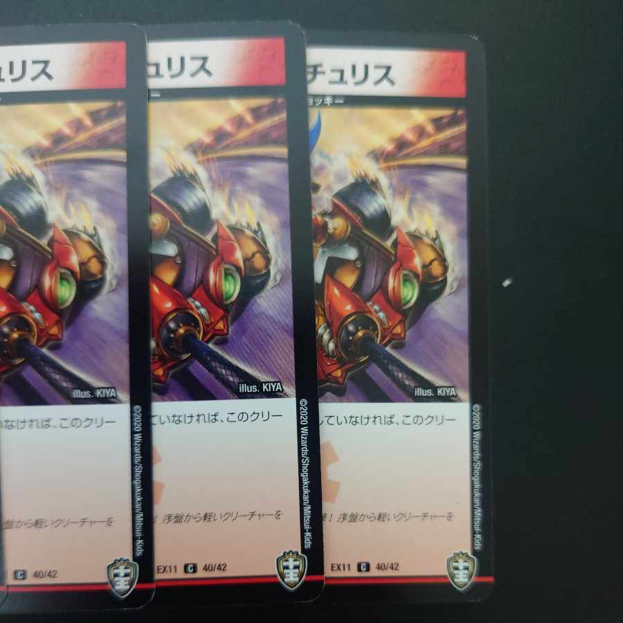 Hop Chu Squirrel C 40/42