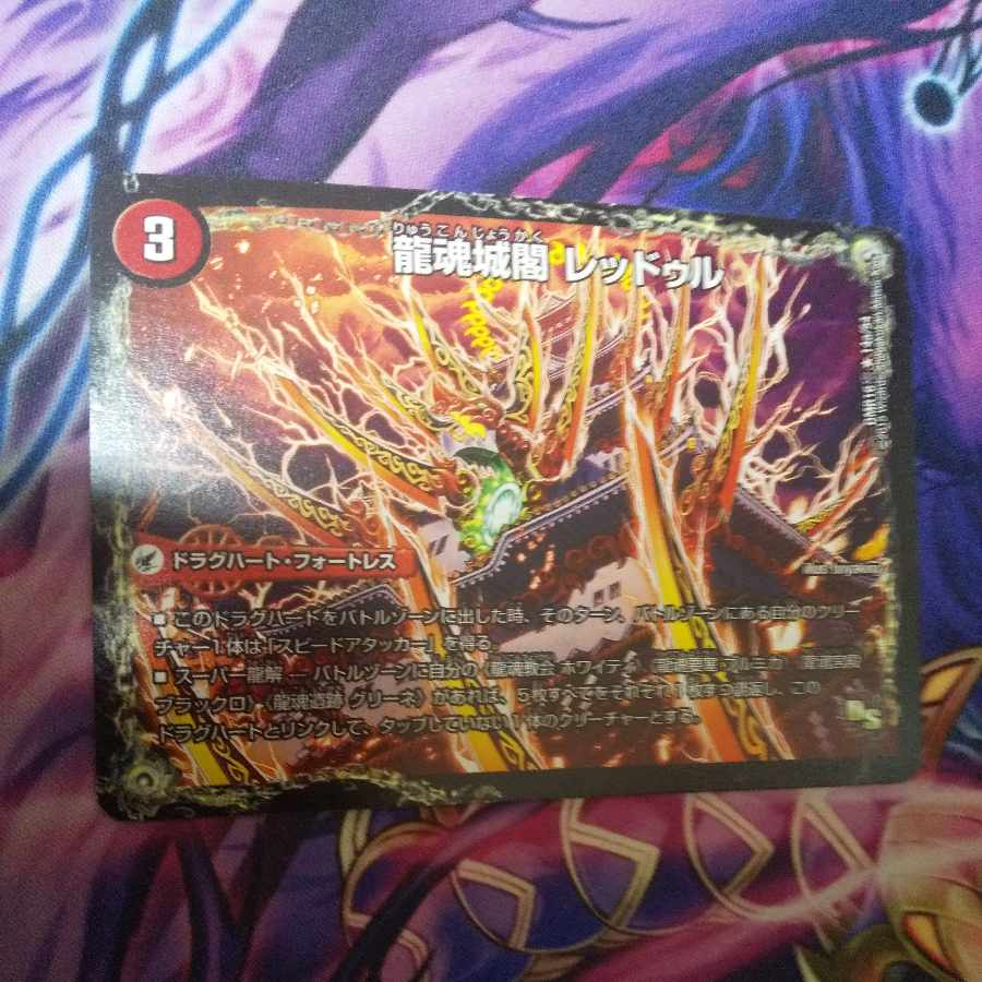 Ryutonjokaku Reduru｜Kyokushin Ryuton All Over the World (lower) R 14a/54｜14b/54