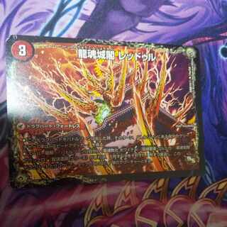 Ryutonjokaku Reduru｜Kyokushin Ryuton All Over the World (lower) R 14a/54｜14b/54