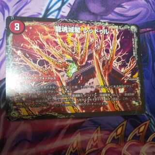 Ryutonjokaku Reduru｜Kyokushin Ryuton All Over the World (lower) R 14a/54｜14b/54