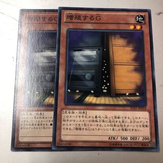 Maxx "C" Normal JP018 2 sheets