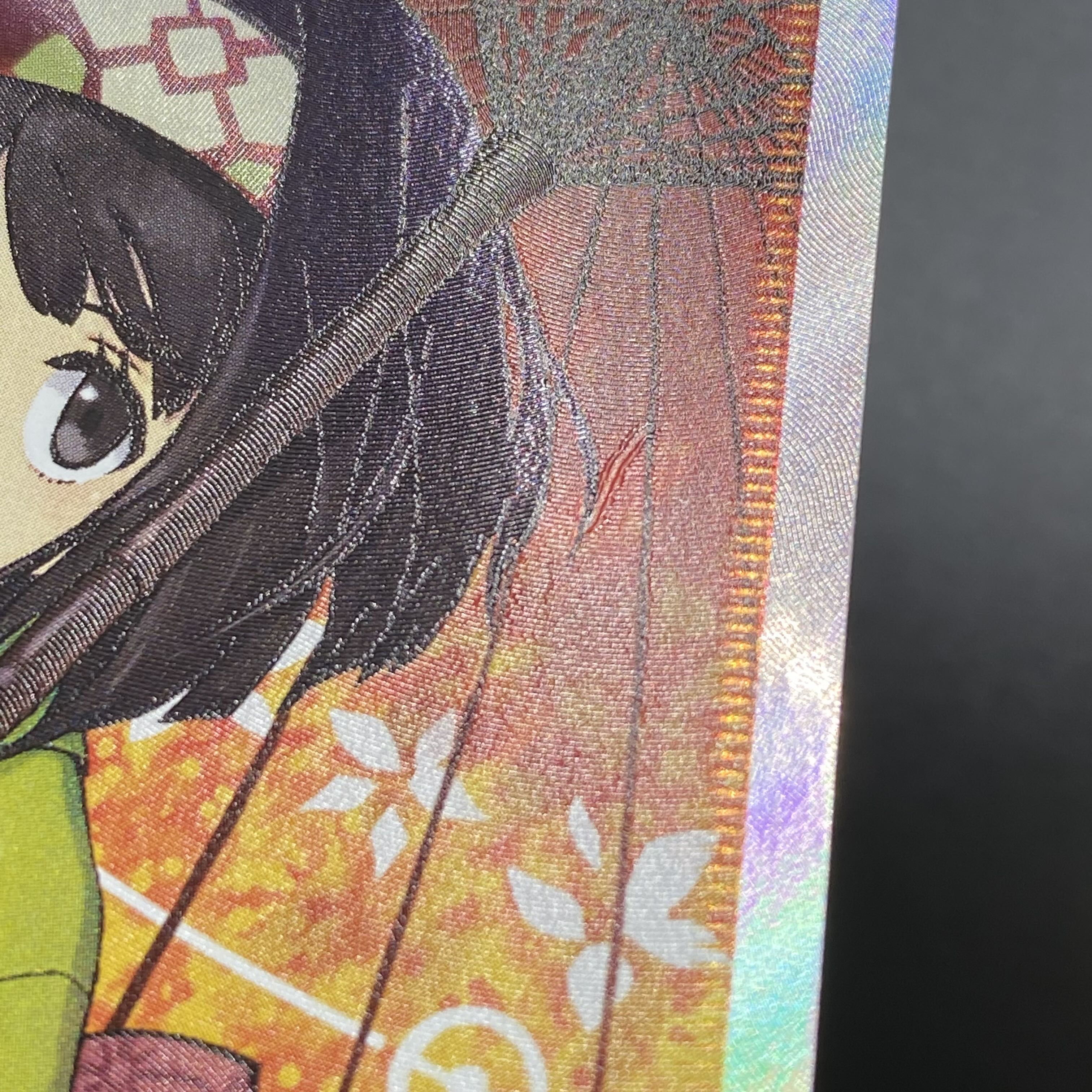 Erika's Hospitality SR 190/173