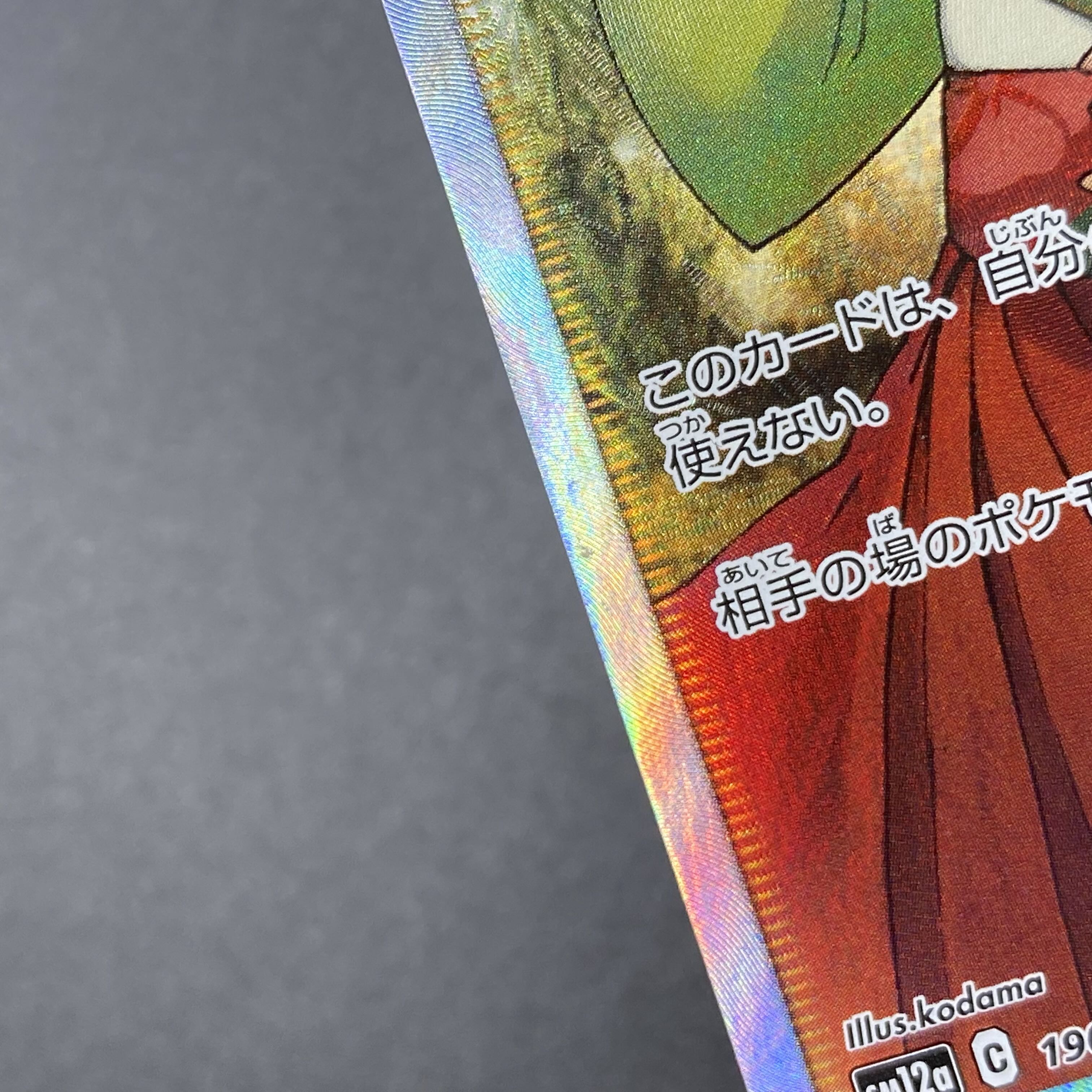 Erika's Hospitality SR 190/173