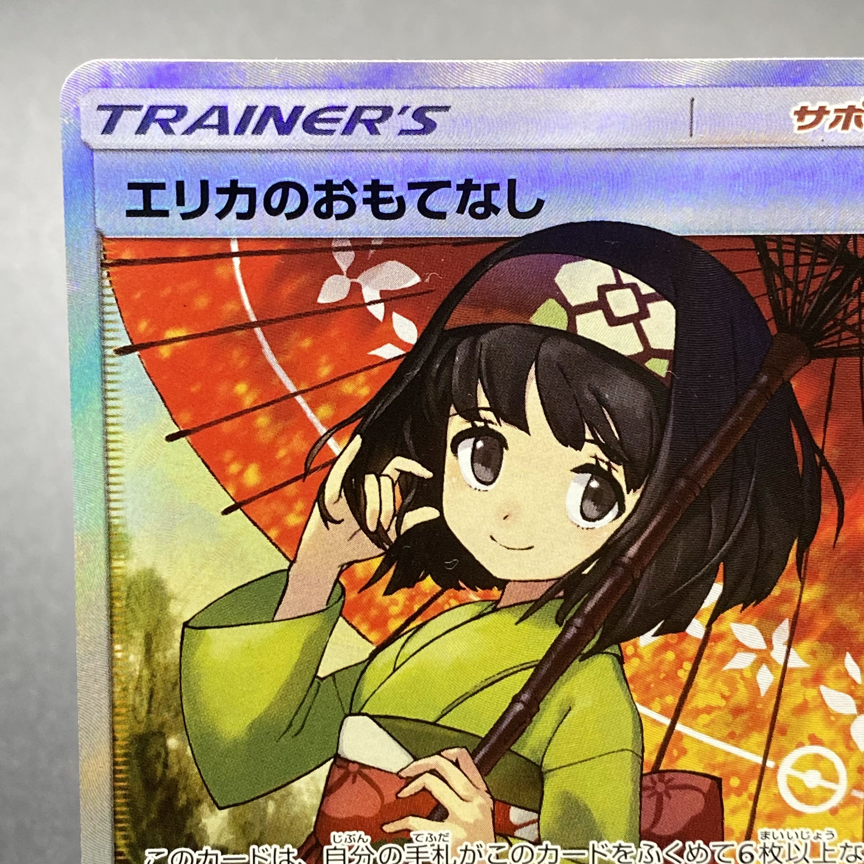 Erika's Hospitality SR 190/173