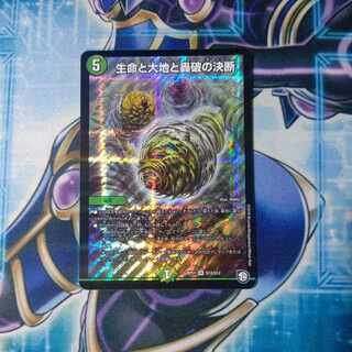 Life Life, Earth and Roaring Decision SR S12/S12