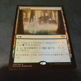 (Last Price Reduction)Waterlogged Grove Japanese Foil