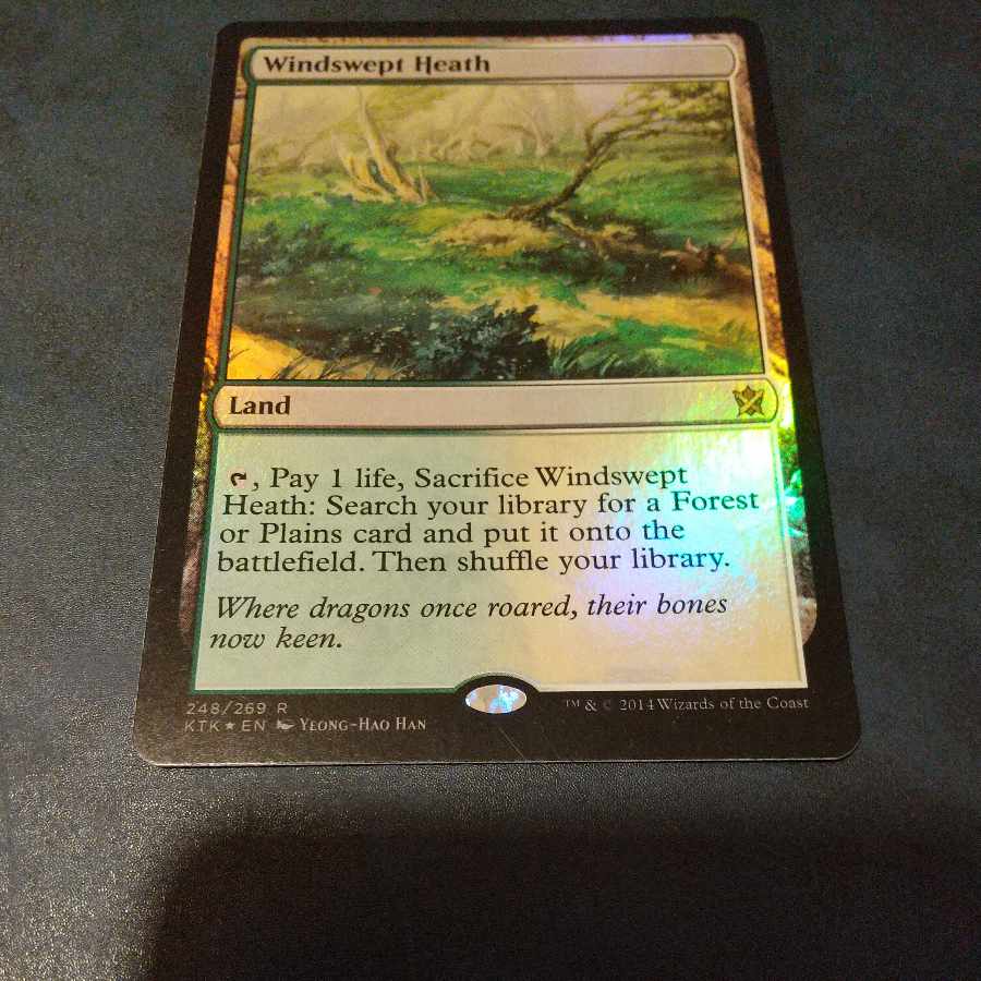 Windswept Heath (Windswept Heath) English Foil