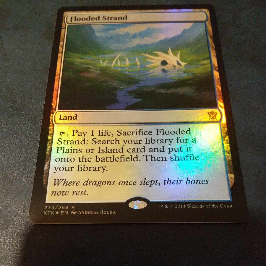 Flooded Strand English Foil