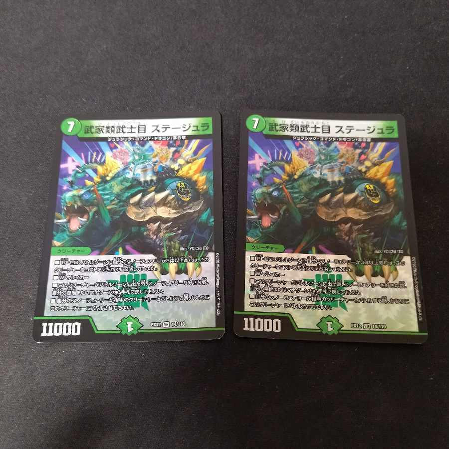 Samurai Family Samurai Eye Stejura VR 2 pieces