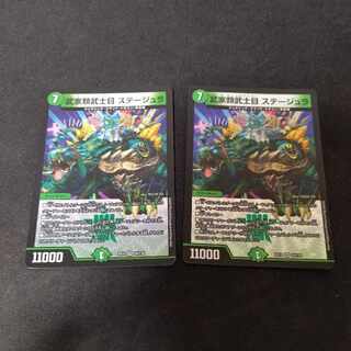 Samurai Family Samurai Eye Stejura VR 2 pieces