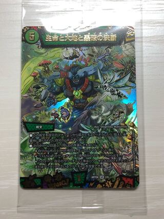 Life Life, Earth and Roaring Decision SR S12/S12