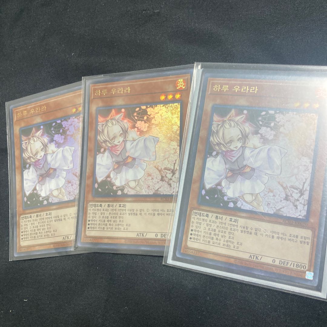 Ash Blossom & Joyous Spring Korean