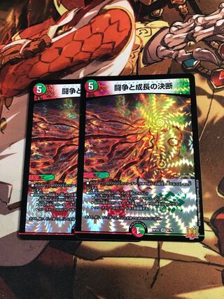 Fighting Conflict and Growth Decision VR 8/76