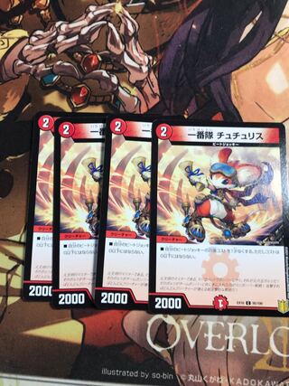 First team Tutu Squirrel C 95/100 1枚