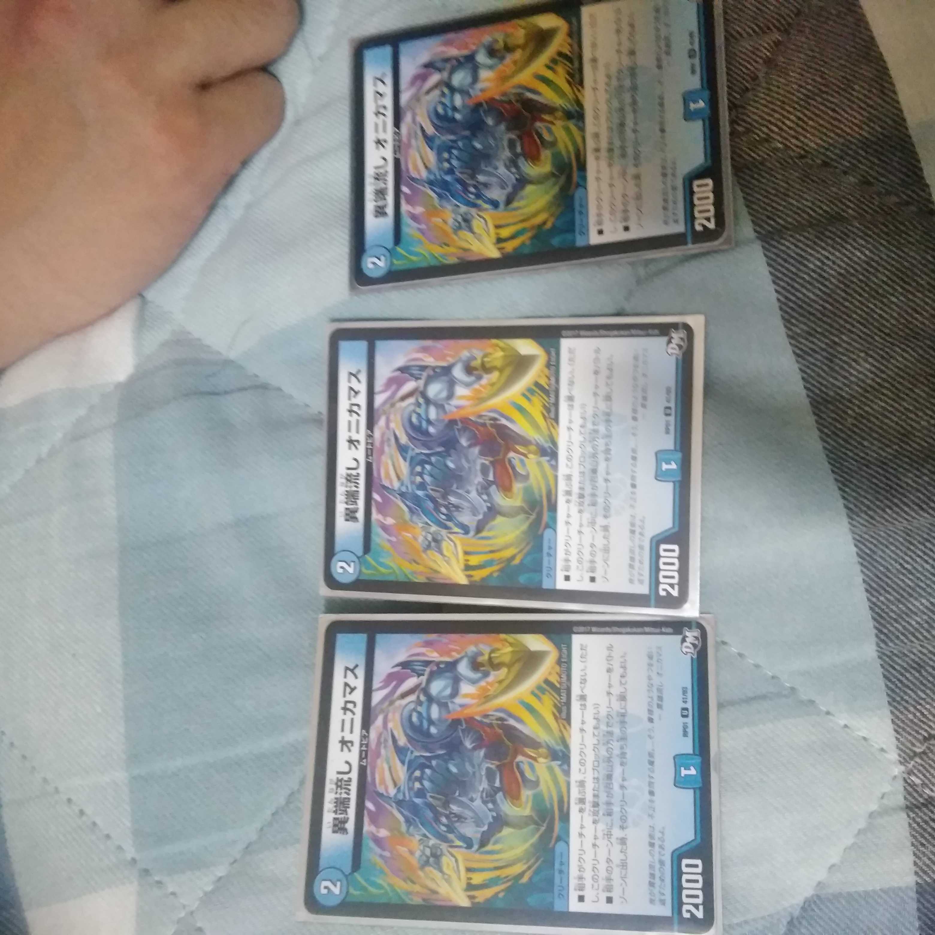 great barracuda (Sphyraena barracuda)