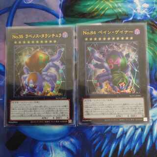 Pain Gainer, Number 35: Ravenous Tarantula Normal JP009 1枚