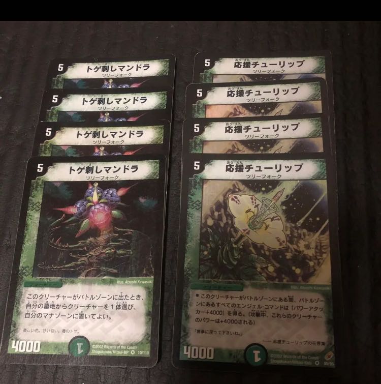 Thorny Mandra Supporting Tulip