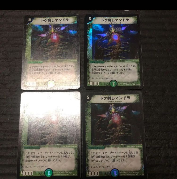 Thorny Mandra Supporting Tulip