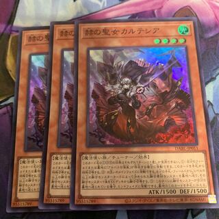 赫の聖女 カルテシア