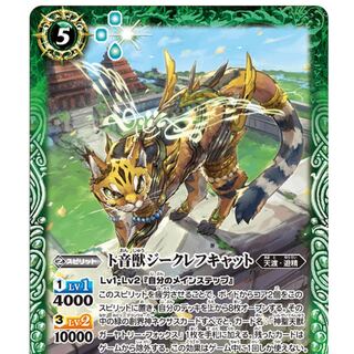 汁なし坦々麺様専用 1枚 1枚