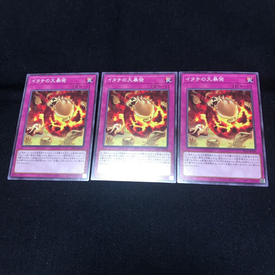 SD44-039 [Normal]: Ferret Flames 3☆.