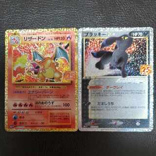 リザードン ブラッキー」の激安通販 | magi