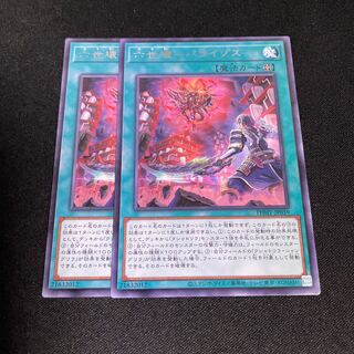 No.763 VI KURUSHI = Paraizos Rare JP059