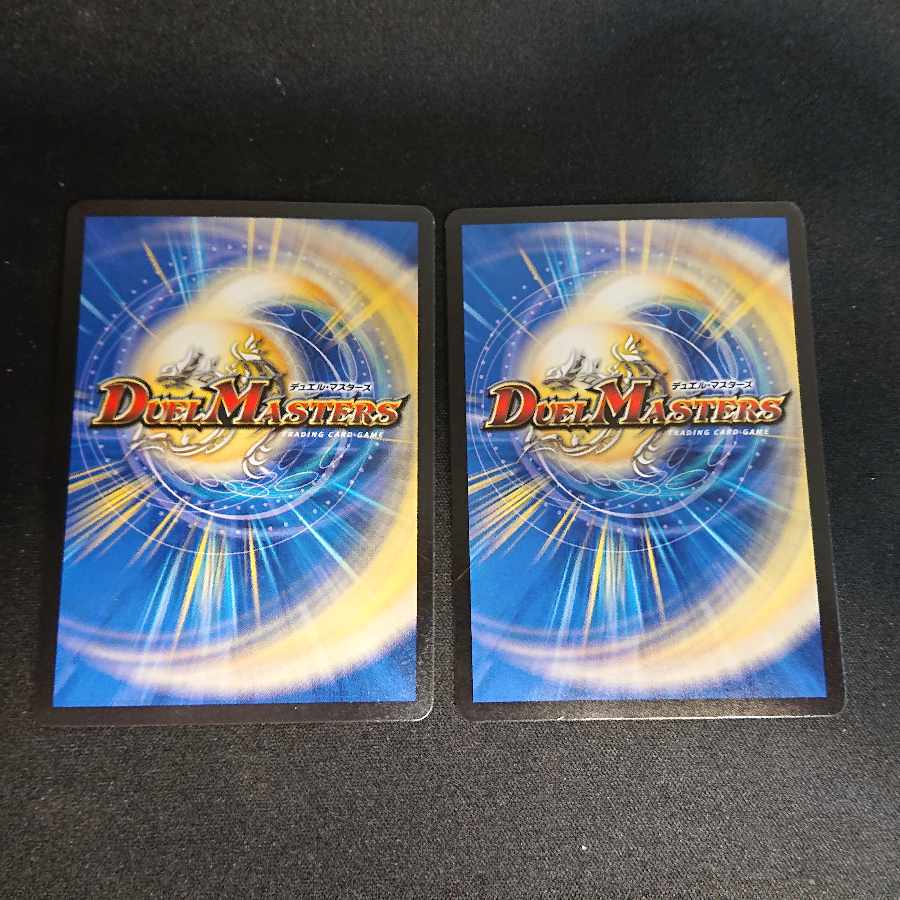 Samurai Family Samurai Order Stejura VR 7/70 2 pieces