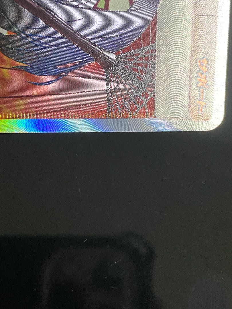 Erika's Hospitality SR 190/173