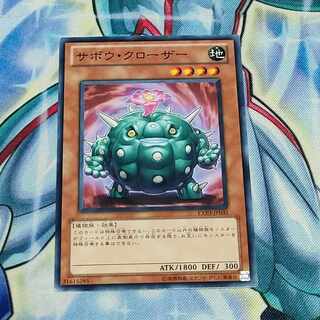 Cactus Bouncer Normal JP035