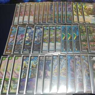 最終値下げ　アナカラーシャコガイル