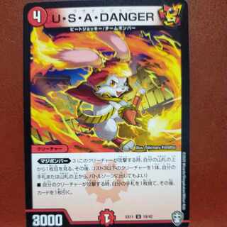 etf1324セット割引　U・S・A・DANGER U 19/42