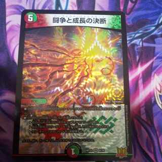 Fighting Conflict and Growth Decision VR 8/76