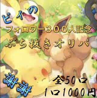 ten51様専用 300記念